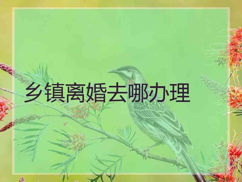 乡镇离婚去哪办理