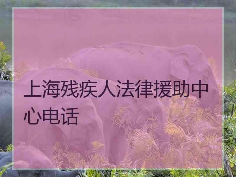 上海残疾人法律援助中心电话