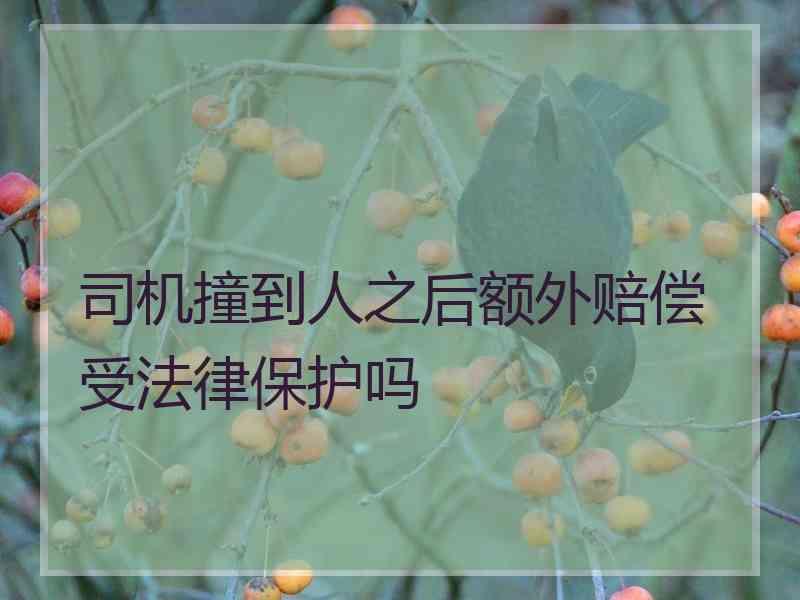 司机撞到人之后额外赔偿受法律保护吗