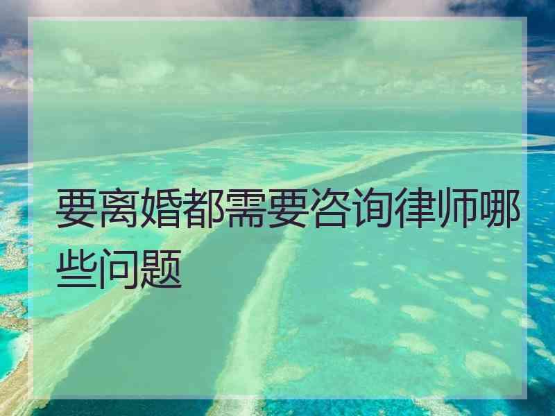 要离婚都需要咨询律师哪些问题