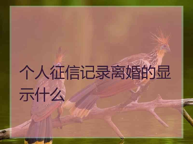 个人征信记录离婚的显示什么