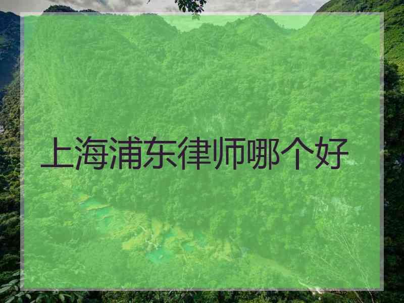 上海浦东律师哪个好