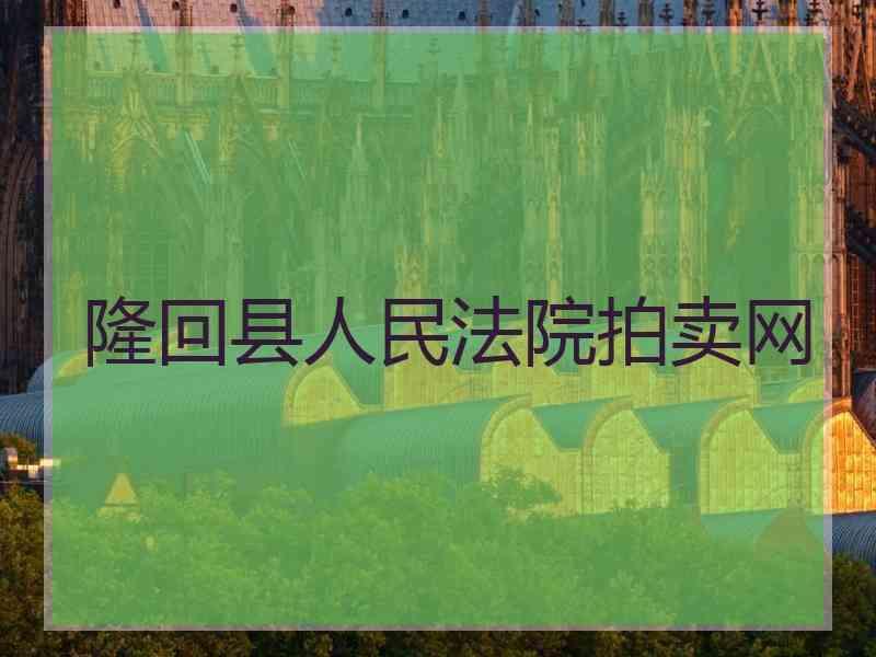 隆回县人民法院拍卖网