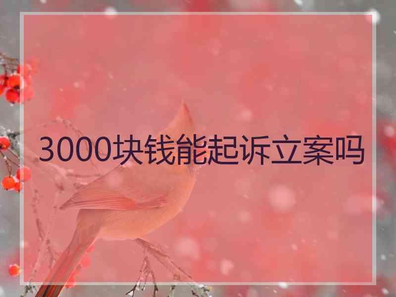 3000块钱能起诉立案吗