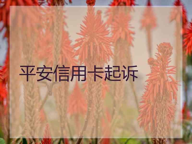 平安信用卡起诉
