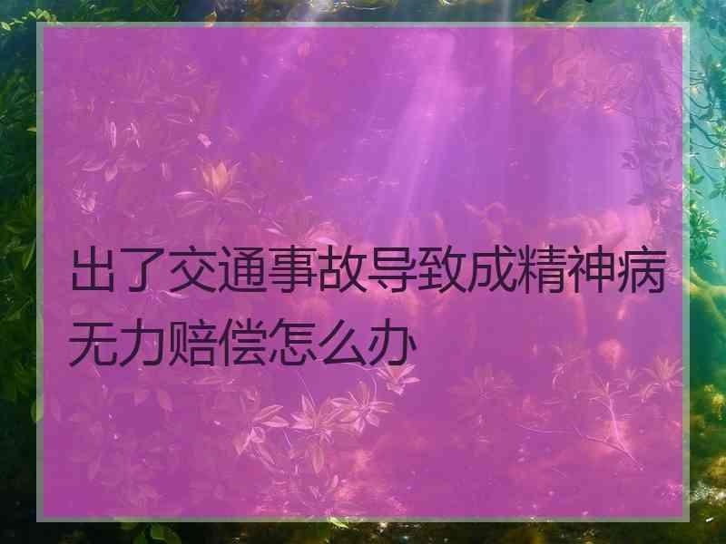 出了交通事故导致成精神病无力赔偿怎么办