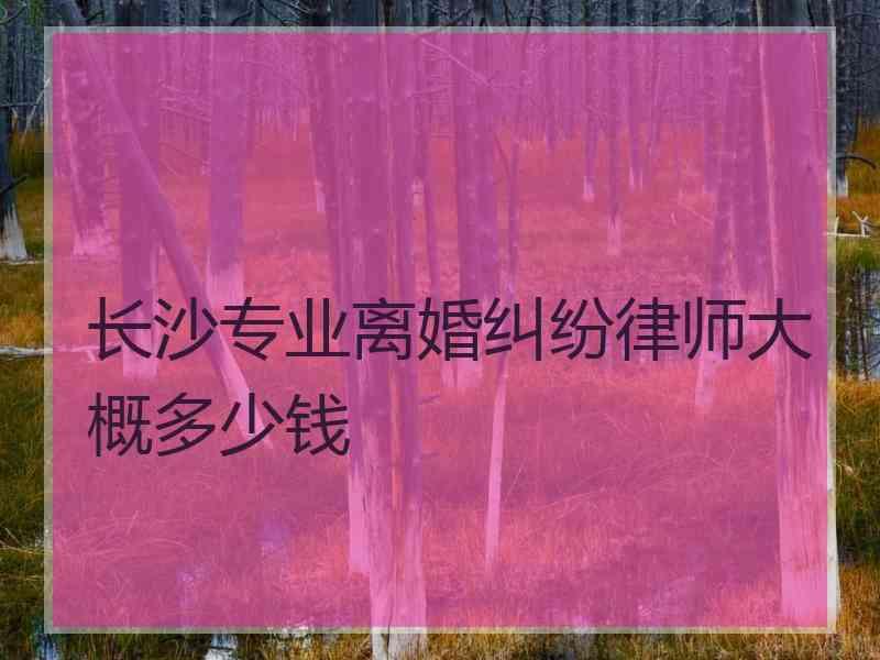 长沙专业离婚纠纷律师大概多少钱