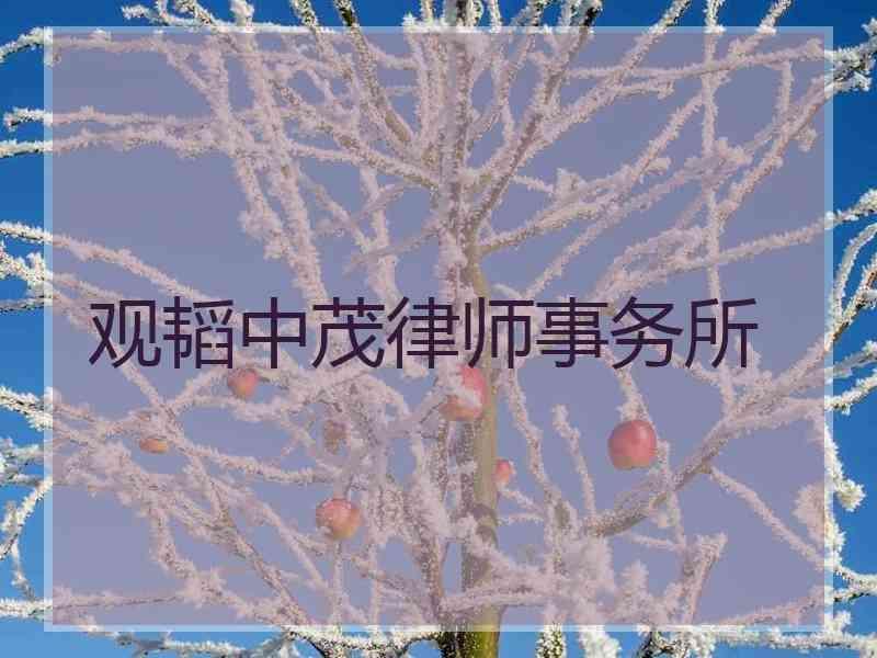 观韬中茂律师事务所