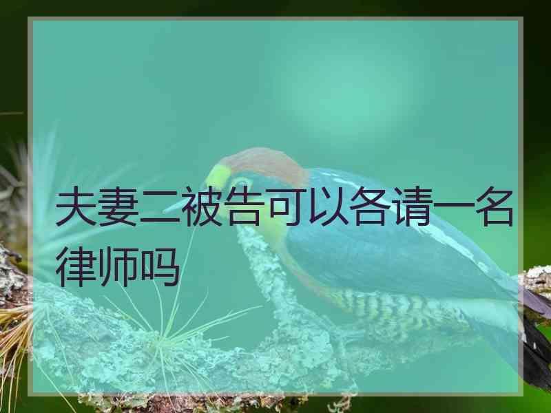 夫妻二被告可以各请一名律师吗