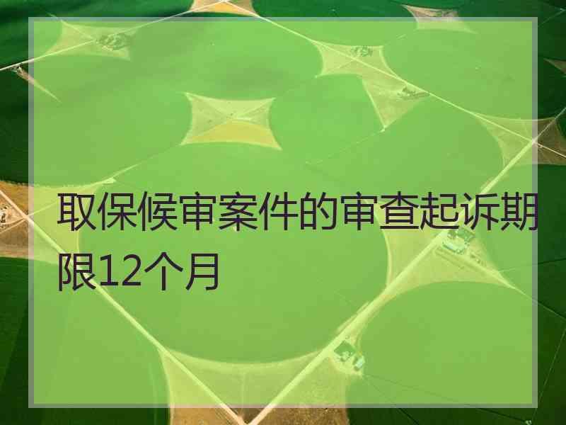 取保候审案件的审查起诉期限12个月