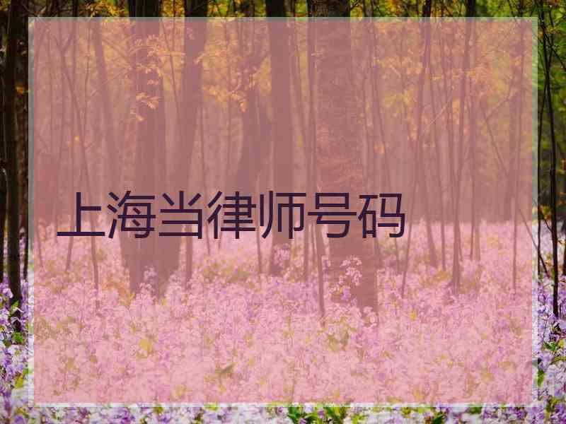 上海当律师号码