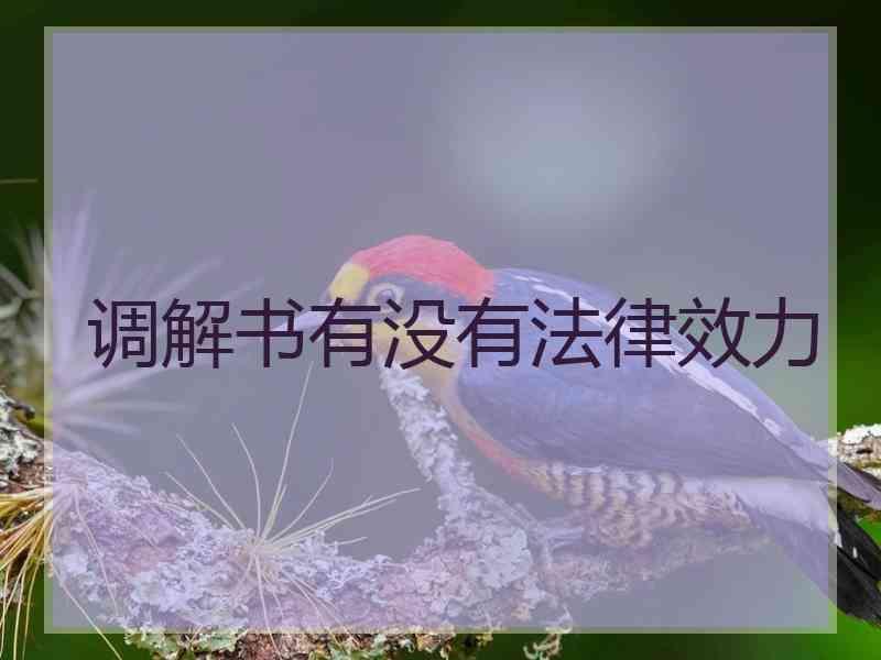 调解书有没有法律效力