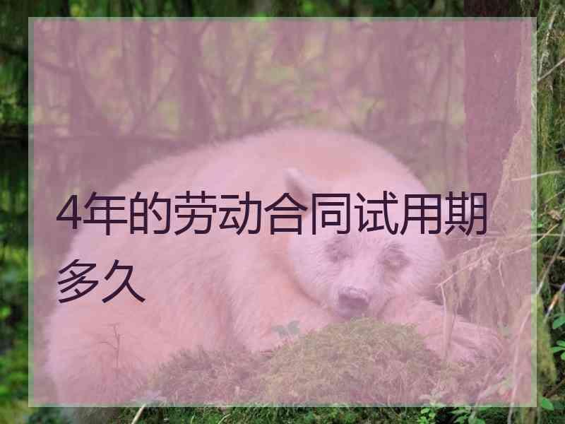 4年的劳动合同试用期多久