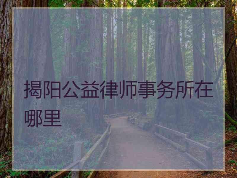 揭阳公益律师事务所在哪里