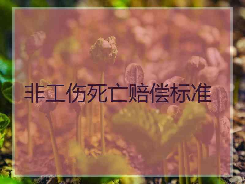 非工伤死亡赔偿标准