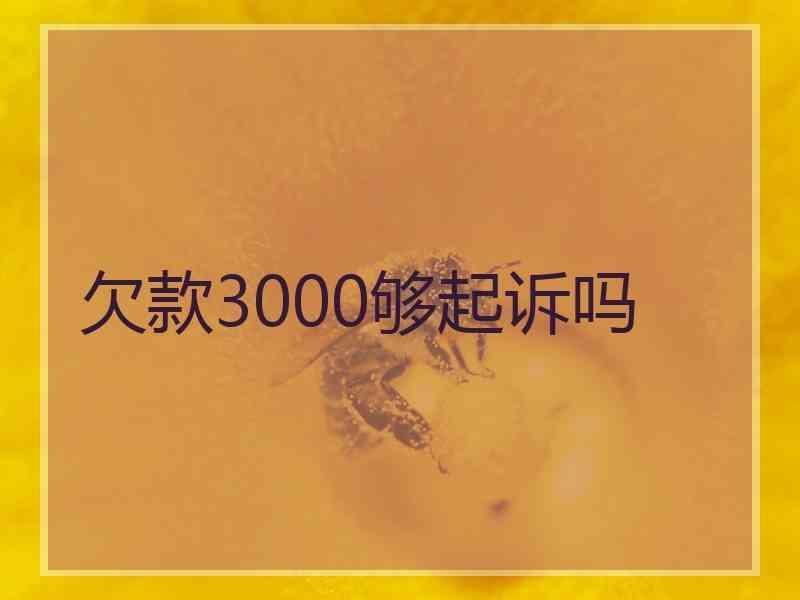 欠款3000够起诉吗