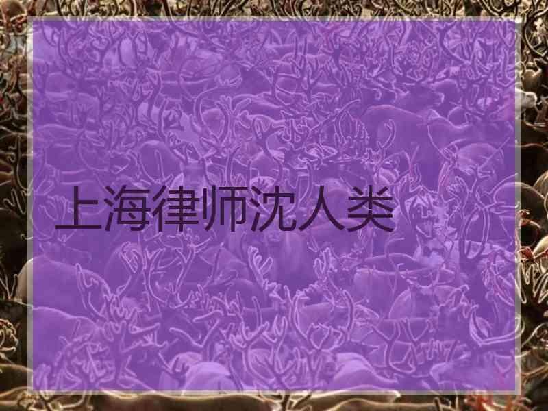 上海律师沈人类