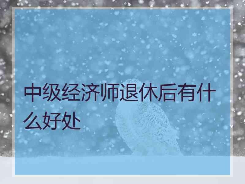 中级经济师退休后有什么好处