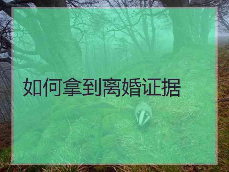 如何拿到离婚证据