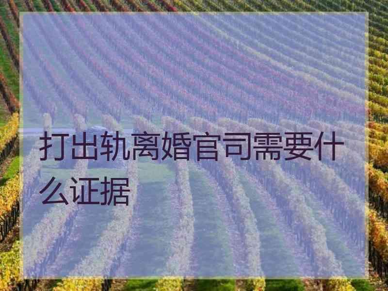 打出轨离婚官司需要什么证据