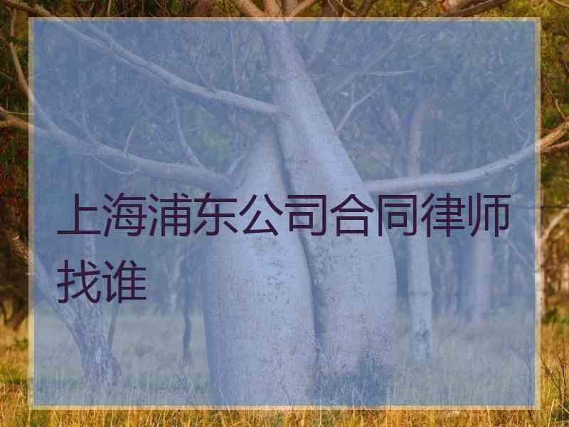 上海浦东公司合同律师找谁