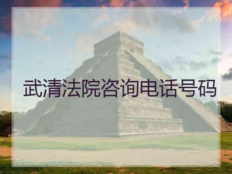 武清法院咨询电话号码