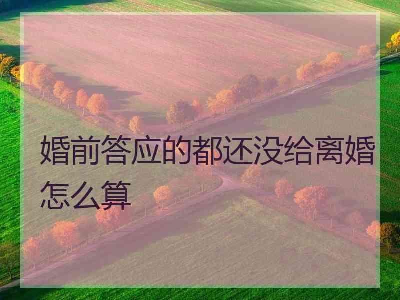 婚前答应的都还没给离婚怎么算