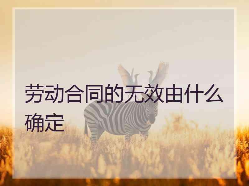 劳动合同的无效由什么确定