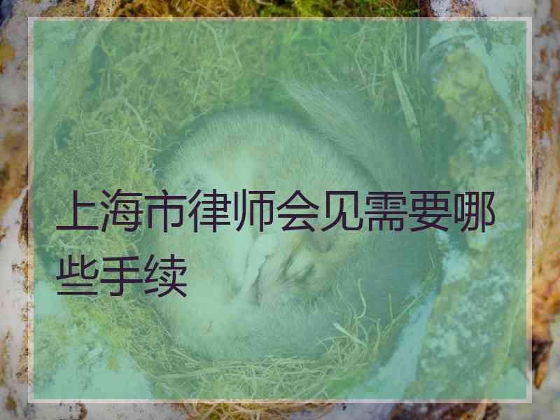 上海市律师会见需要哪些手续