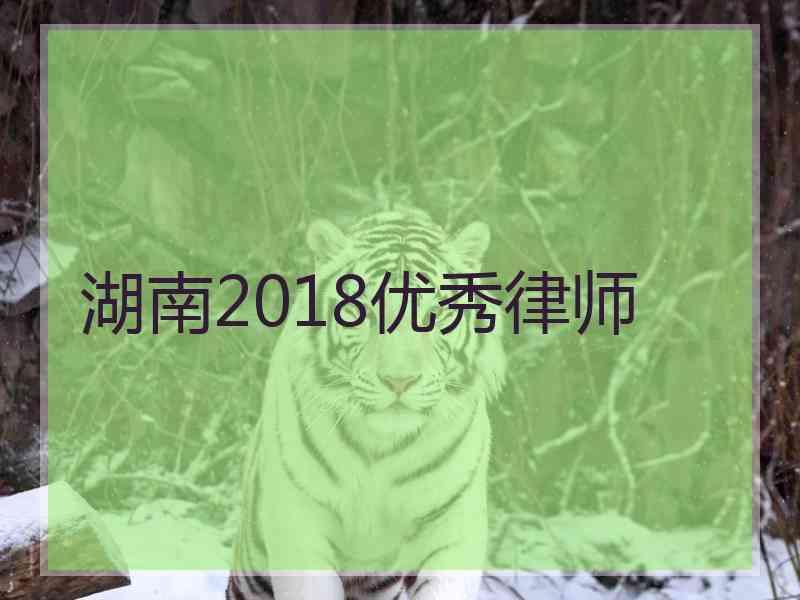 湖南2018优秀律师