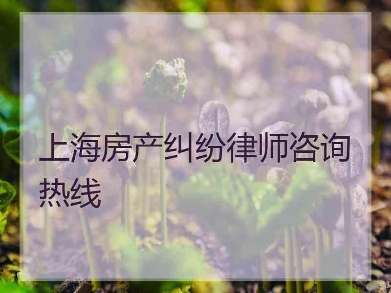 上海房产纠纷律师咨询热线