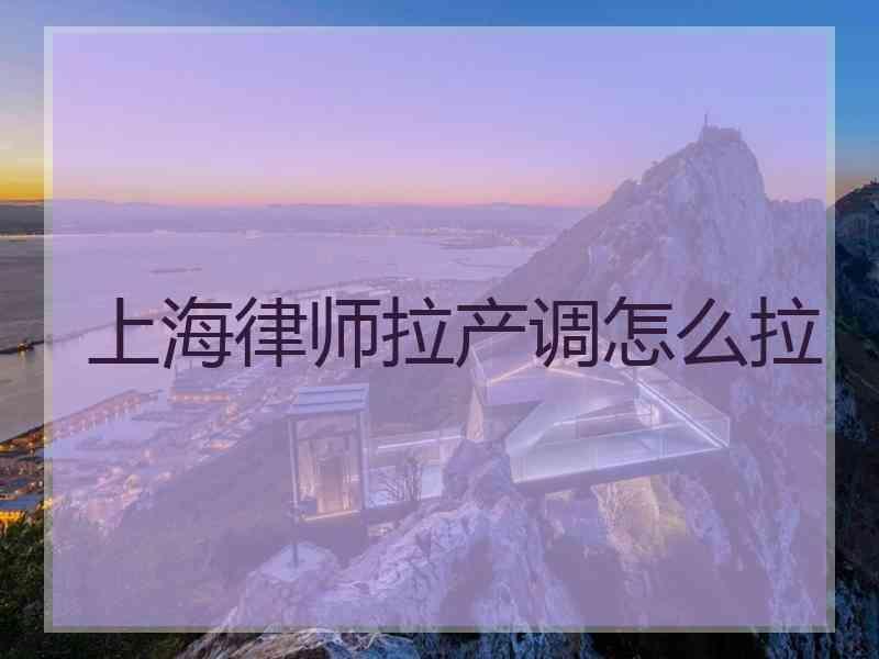 上海律师拉产调怎么拉