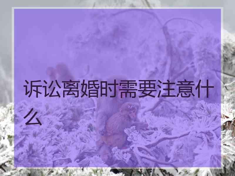诉讼离婚时需要注意什么