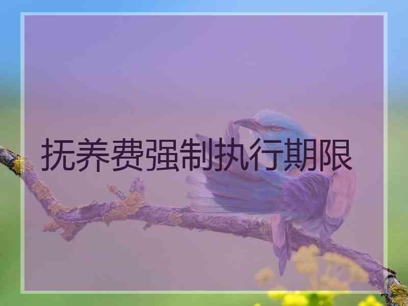 抚养费强制执行期限