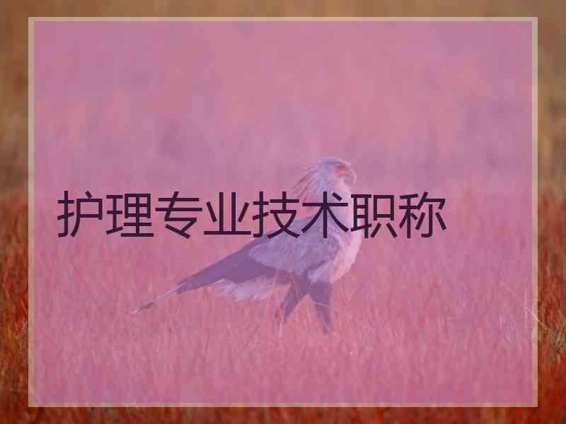 护理专业技术职称