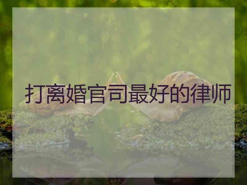 打离婚官司最好的律师