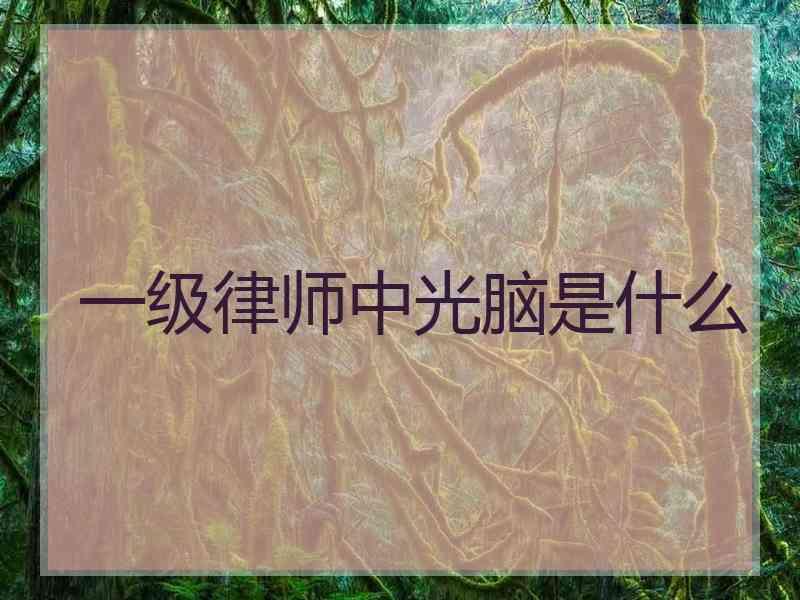 一级律师中光脑是什么