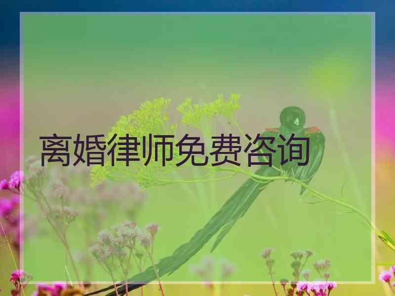 离婚律师免费咨询