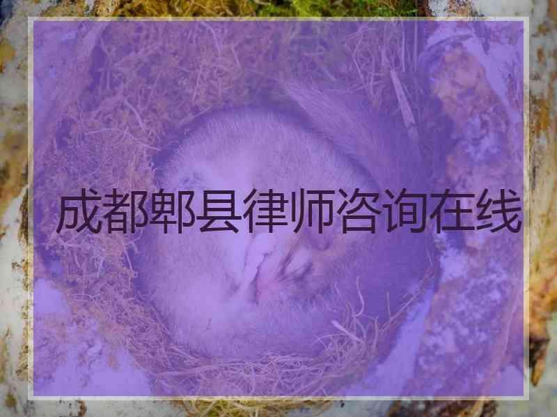 成都郫县律师咨询在线