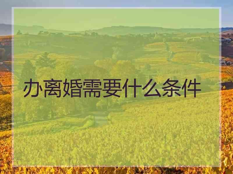 办离婚需要什么条件
