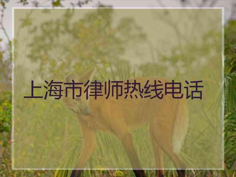 上海市律师热线电话