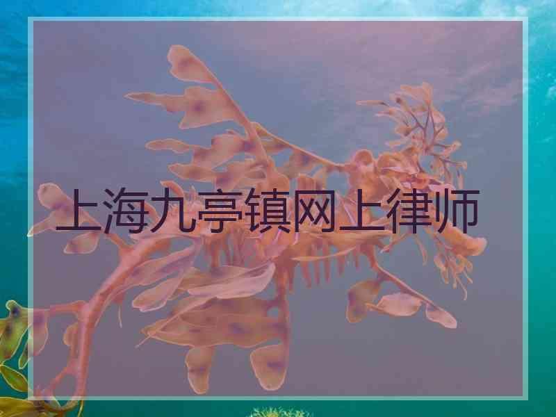 上海九亭镇网上律师
