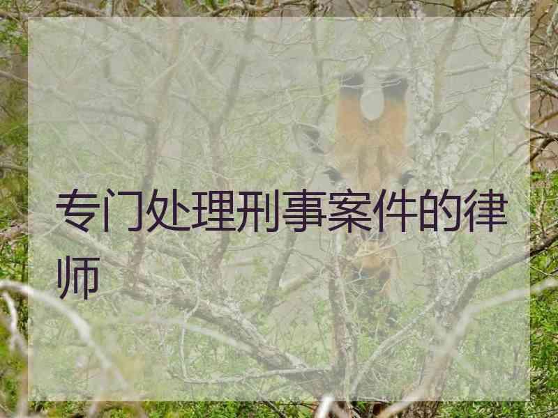 专门处理刑事案件的律师