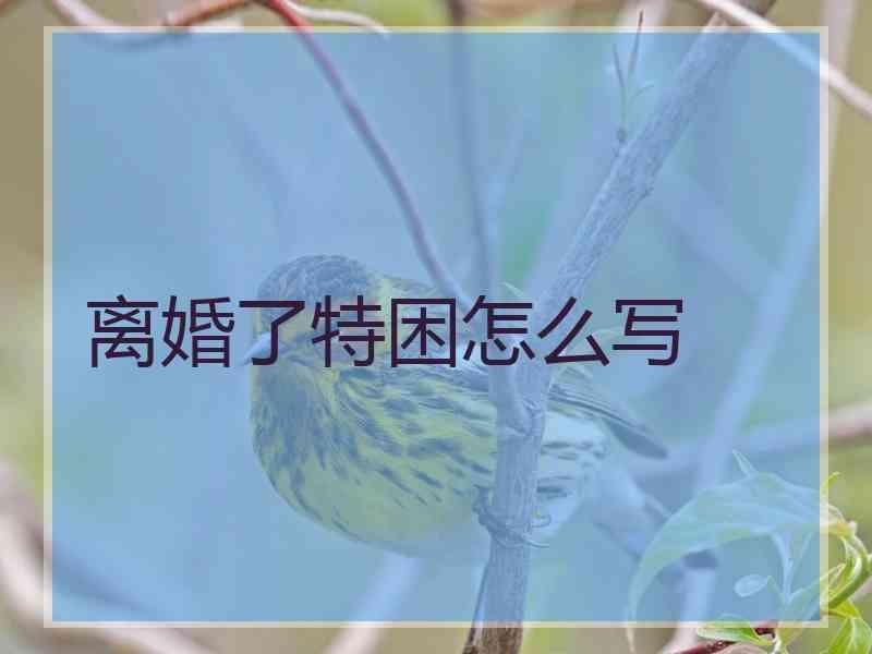 离婚了特困怎么写