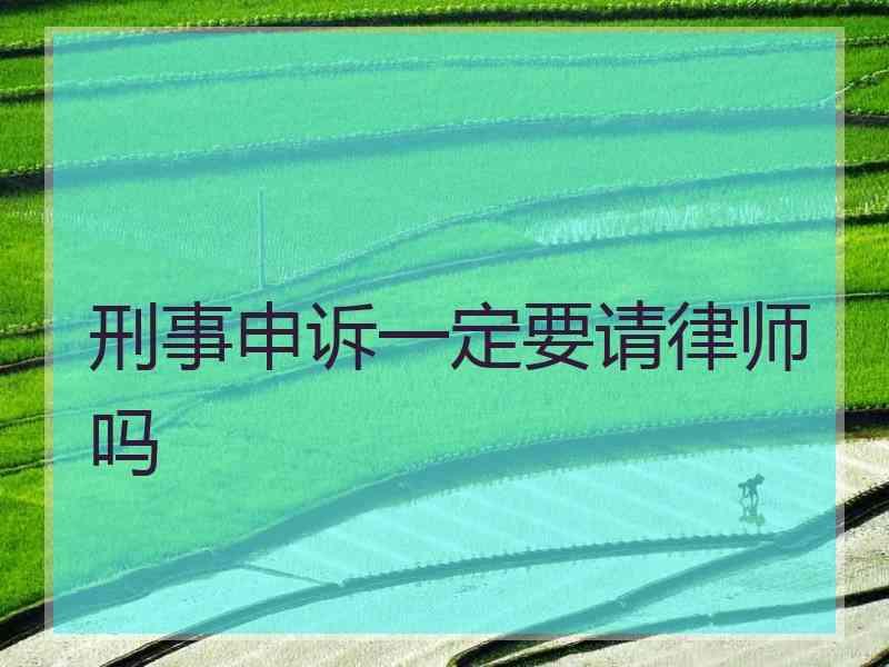 刑事申诉一定要请律师吗