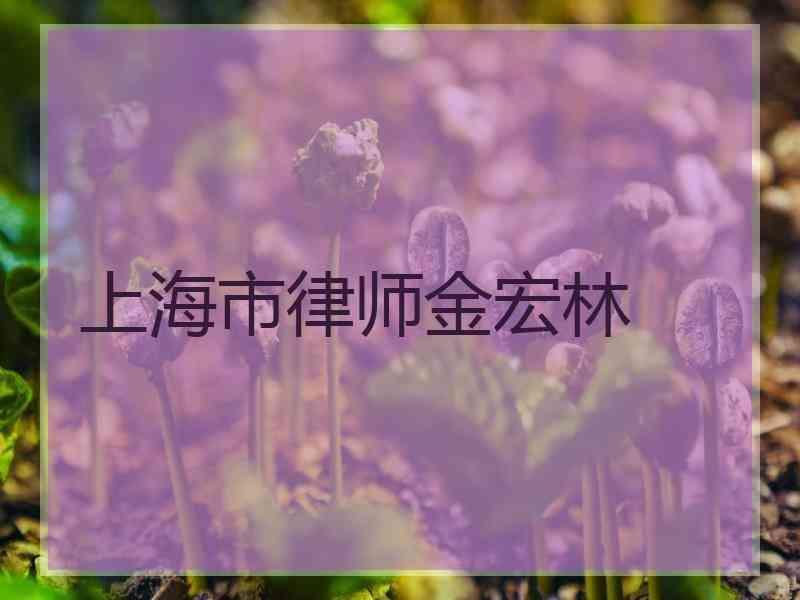 上海市律师金宏林