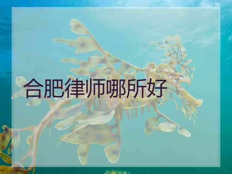 合肥律师哪所好