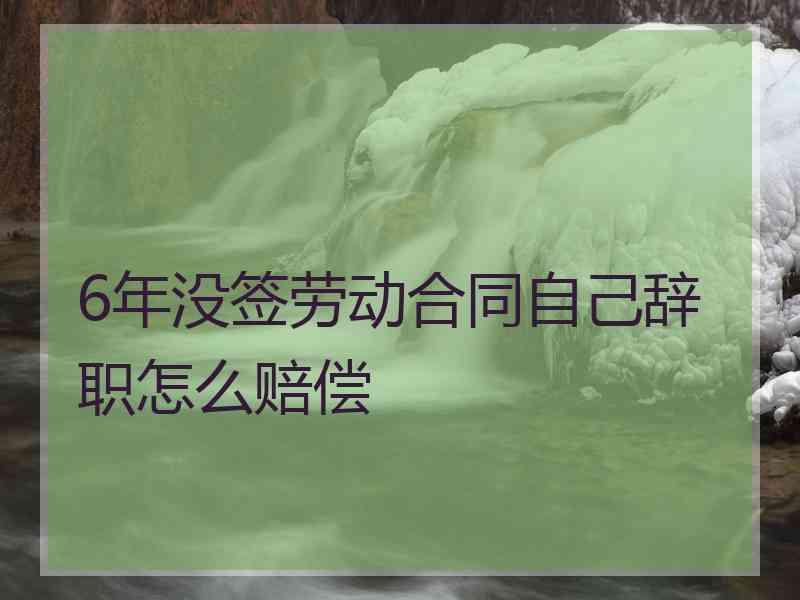 6年没签劳动合同自己辞职怎么赔偿