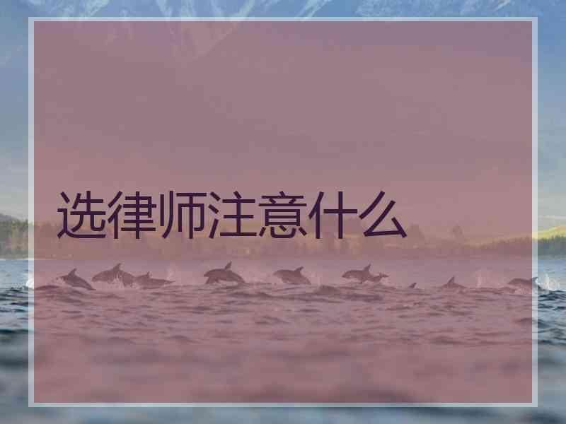 选律师注意什么