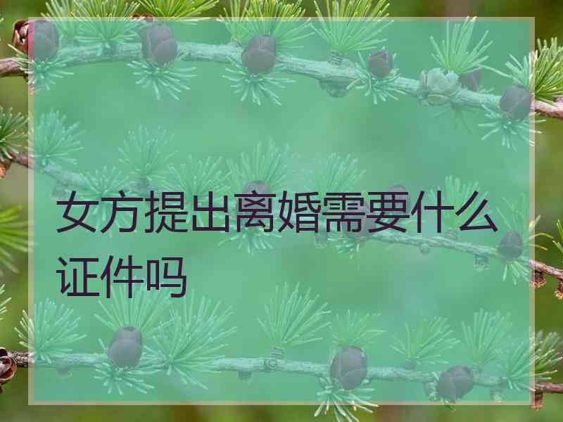 女方提出离婚需要什么证件吗